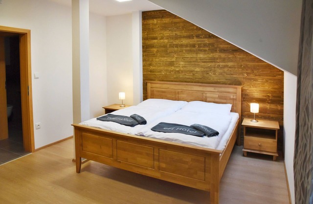 EFI ApartHotel Horní Lipová