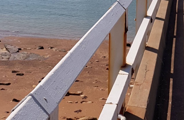 Dieciocho Veinticinco - 'donde el arbusto se encuentra con el mar'