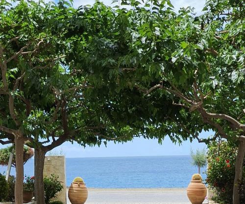 Eirini Apts On the beach