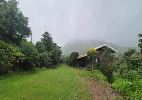 Ekaant Farmstays