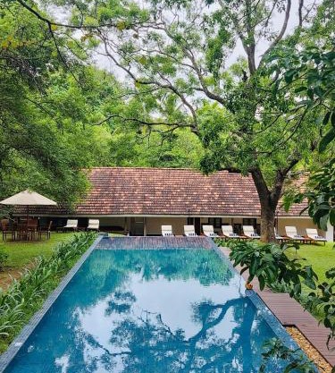 EKHO Sigiriya - 700 meters to Sigiriya Rock