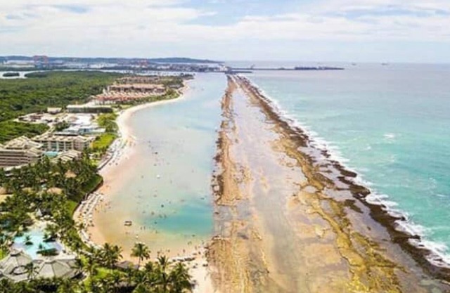 ekoara high wall 408