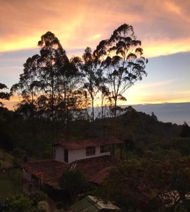 El Barranquero