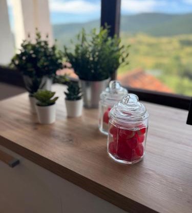 el mirador de ona