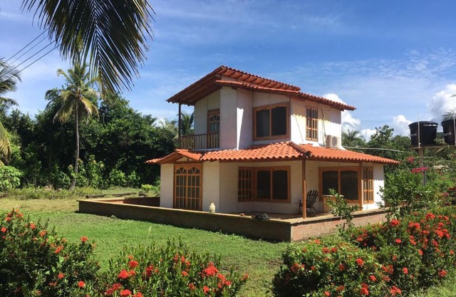 El palmar azul
