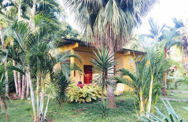El Ranchito Surfcamp
