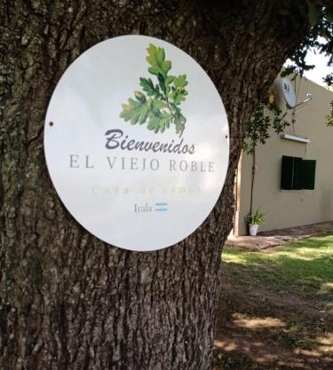 El Viejo Roble