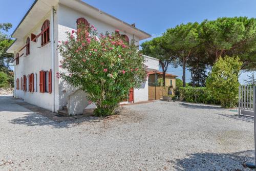 Elba Bellavista - Home -