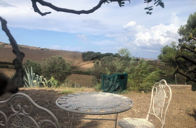Electra's garden (the yellow house)