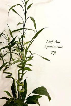 Elef-ant apartment