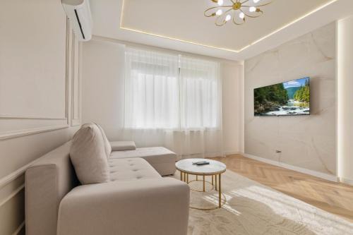 Elegant 1BR Apt with AC