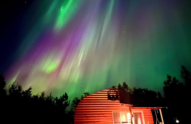 Elegant, Cozy Cub Cabin near Lake with a Full Kitchen & Laundry Unit in Big Lake