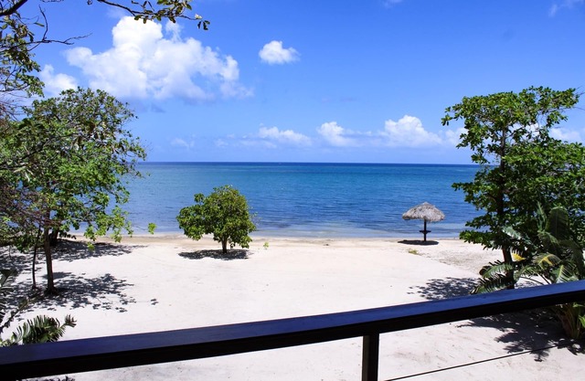 Elegante villa frente a la playa personalizada con paredes de vidrio de piso a techo, 180 vistas al mar