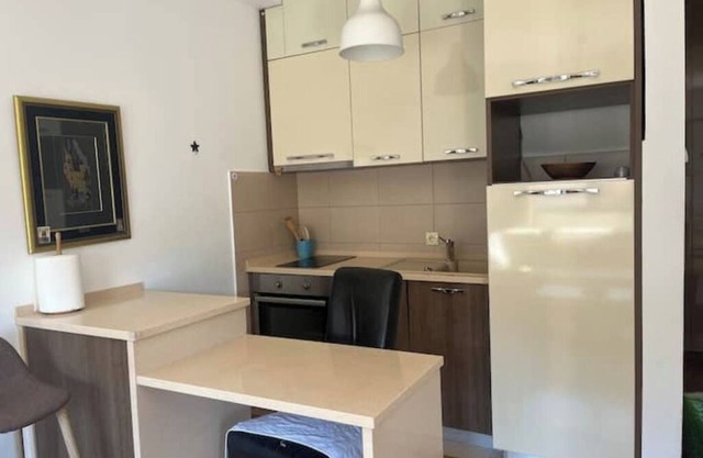 Elegant Mega Apartment in the Heart of the City