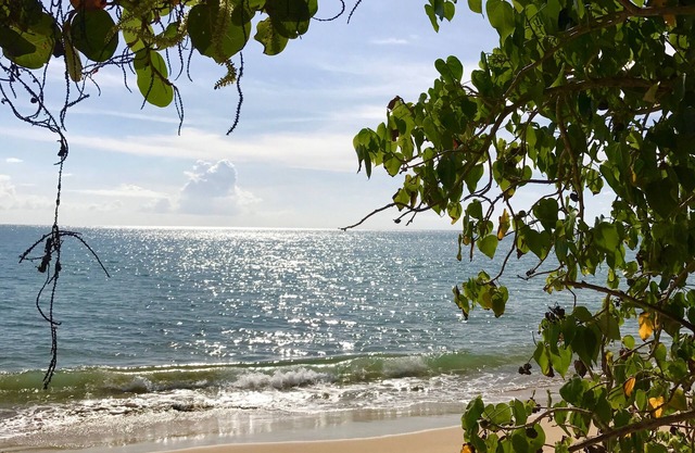 Elegante, bastante villa situada en la costa oeste de Puerto Rico, Rincón.
