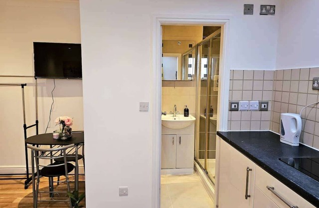 Elegant Spacious London Flat B