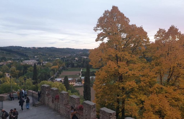 Elegante e spazioso bilocale in zona Certosa (FI)
