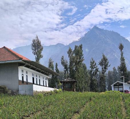 Elen Homestay by ABM