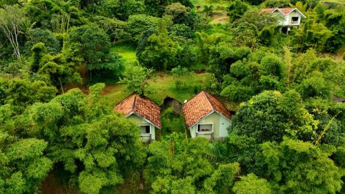 Elenor Cottages