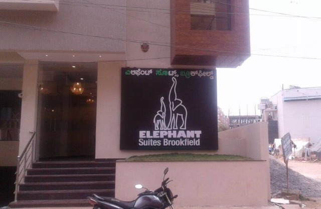 Elephant Suites Brookefield # 6