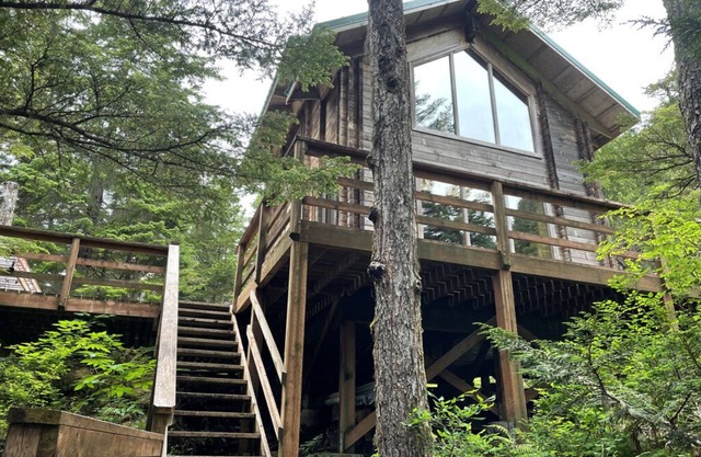 Elfin Cove's Hilltop Tree House