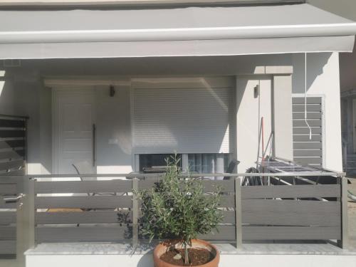 Elia Home