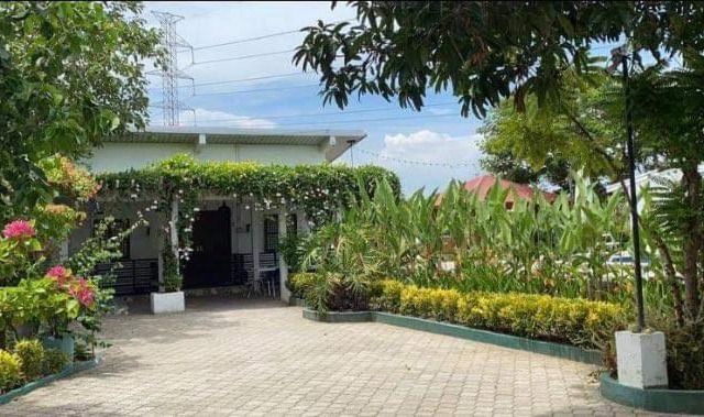 Elizabeths Secret Garden Guest House