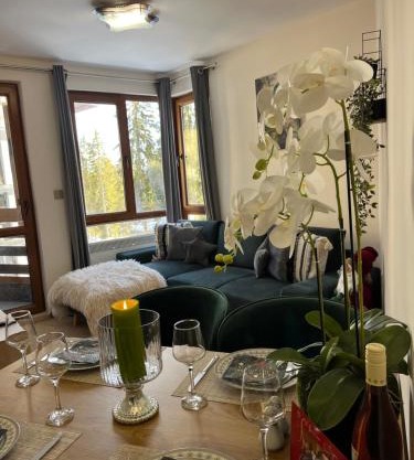 Elizi winter apartments Pamporovo