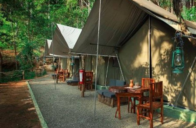 Ella Glamping