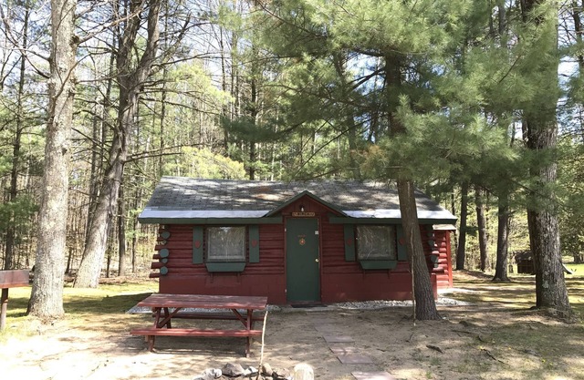 Ellis Lake Resort - Birch Log Cabin-Interlochen / Traverse City