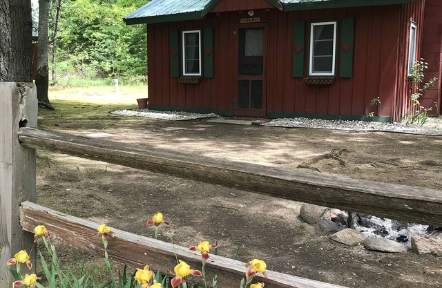 Ellis Lake Resort - Elm Log Cabin-Interlochen / Traverse City