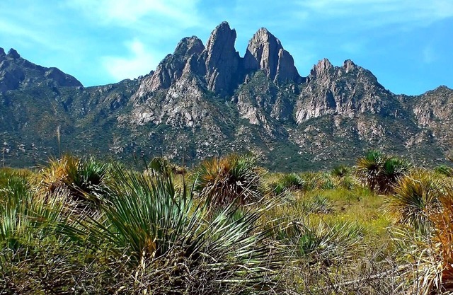 Encanto de Mesilla