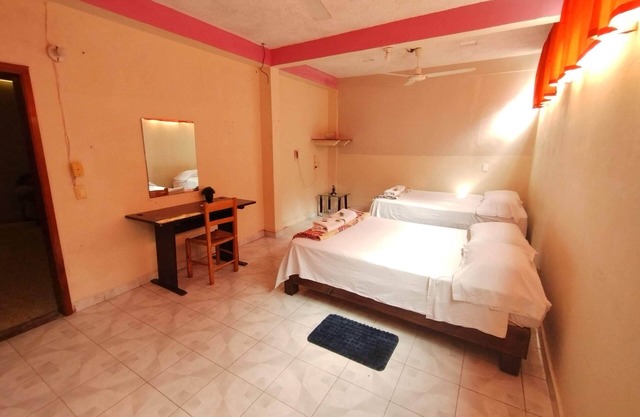 Encasa - Casa Palm 206