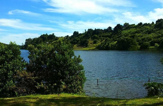 CABINA RÚSTICA ENCANTADA, ENTRE BOSQUE CON INCREÍBLES VISTAS AL LAGO