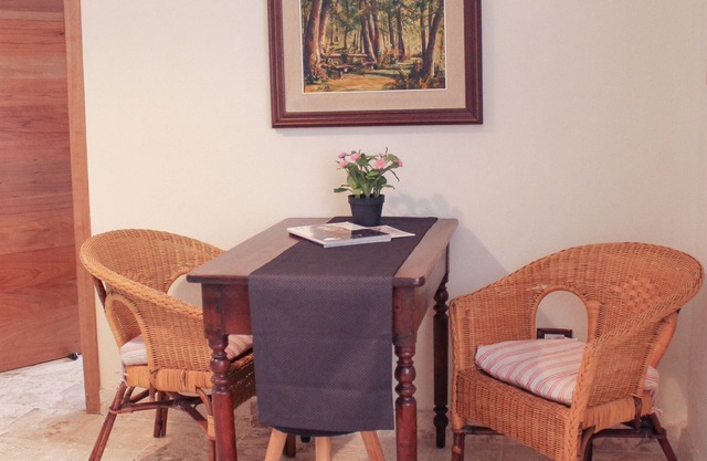 ENCANTADORA 1HAB APT CERCA DE LA ZONA COLONIAL