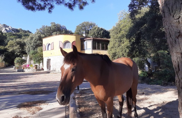 Enchanting Country Villa in a Lush Valley with Animals, Pool, Outdoor Jacuzzi
