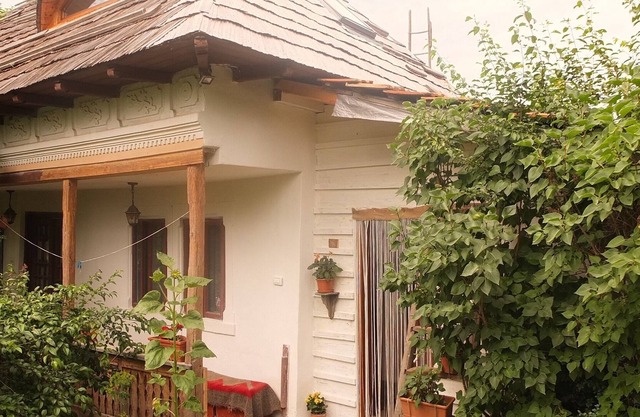 Encantadora casa tradicional antigua y jardín cerca del bosque cerca de Curtea de Arges
