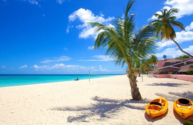 Enjoy Beautiful Ocean View! 4 Spacious Units w/ Balcony! Close to Dover Beach!