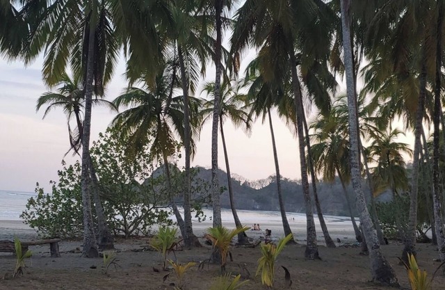 Enjoy Casa Tropical which offers a quiet and safe home to relax in!