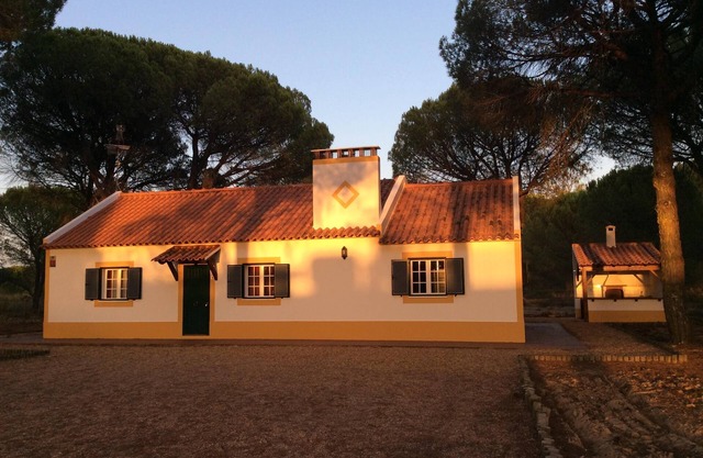 Disfrutar de la belleza de la región del Alentejo. Casa situada en un bosque de pinos y cerca de las playas