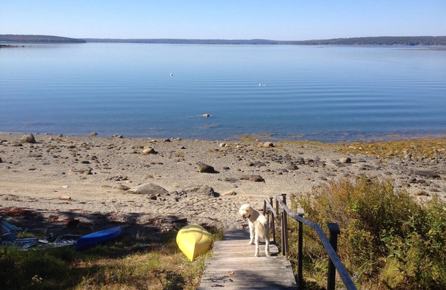 Disfruta de la costa de Maine: en el agua