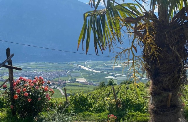 Entire accommodation surrounded by nature with beautiful panoramic terrace