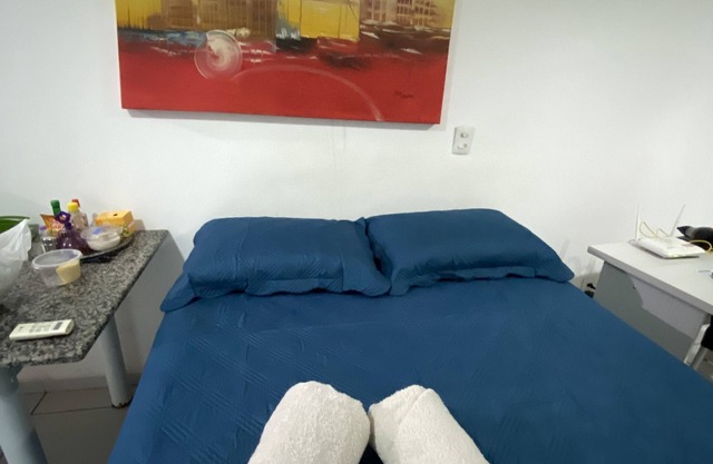 Entire apartment with pool and gym included.