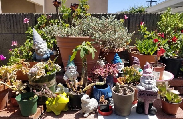 Entire Cozy Home with Enclosed Patio Near Disneyland
