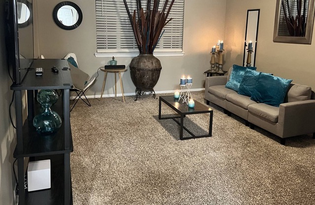 Entire LAVISH apartment 12 mins from beautiful downtown Greenville