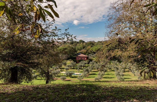 Ambiente natural envolvente, disfrútalo con los tuyos.
