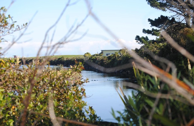 Enviable Location with True Comfort - Hoki Boatshed Holiday Accommodation