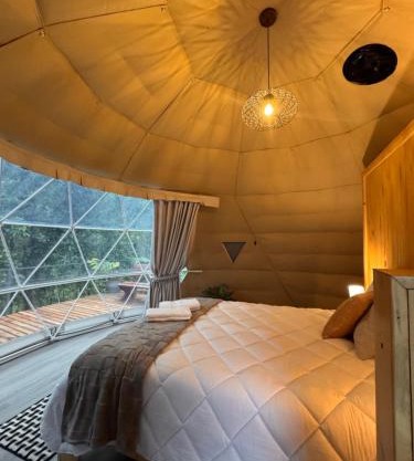 Epífita, Bosque Nuboso Glamping Monteverde