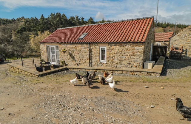 Erica's 'eaven, KIRKBYMOORSIDE