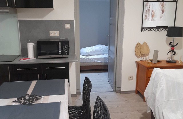 Escale Voltaire, T2, 32 m2 au Calme, Centre Historique
